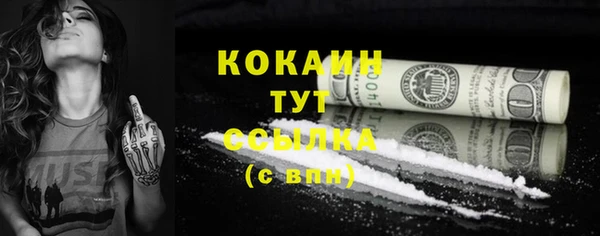 бошки Ельня
