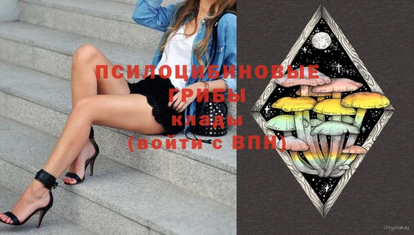 бошки Ельня